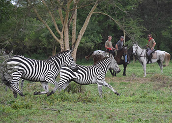 Kaskazi Wildlife Horse Safari