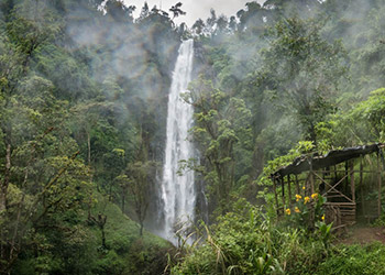 Materuni Waterfalls & Coffee Tour