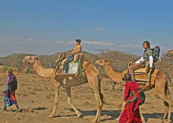 Mkuru Camel Safari